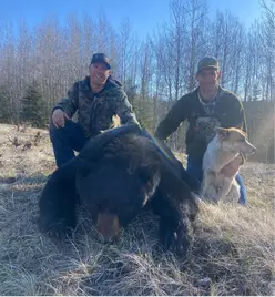bear-hunts-gallery1