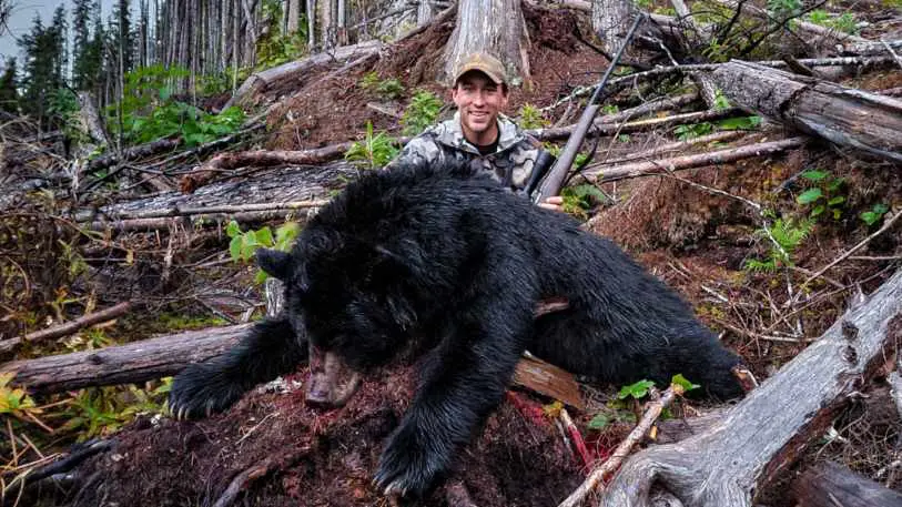 black-bear-homepage