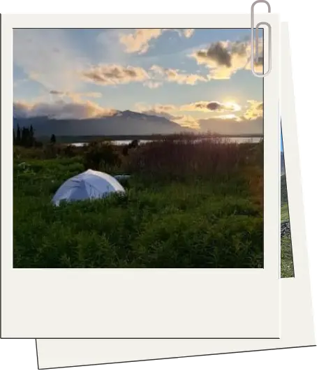 dall-sheep-camp-photo