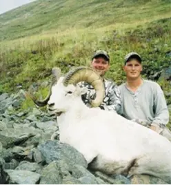 dall-sheep-gallery3