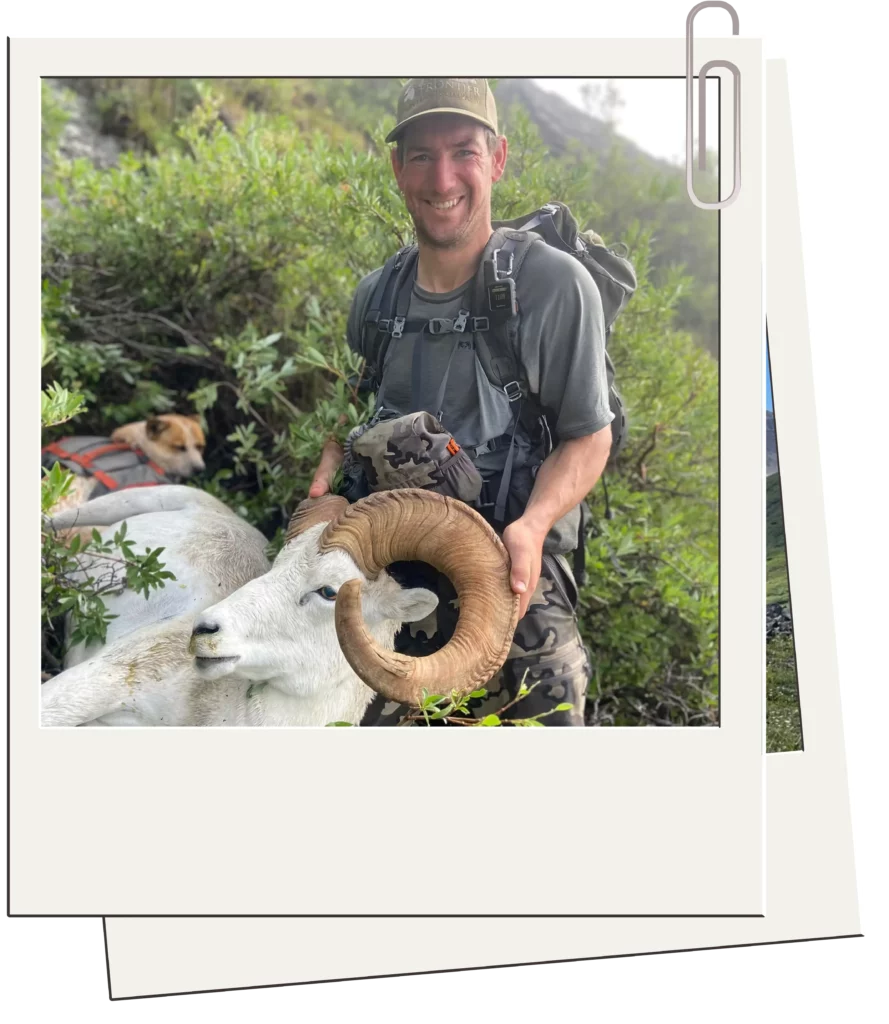 dall-sheep-photo-new