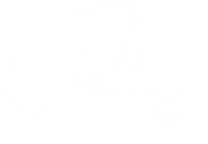 gallery-white-title