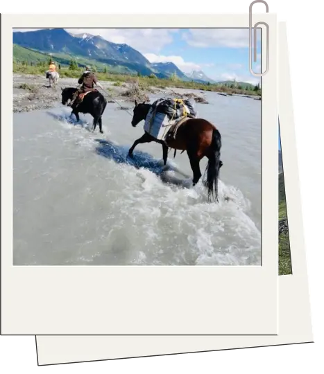 horse-river