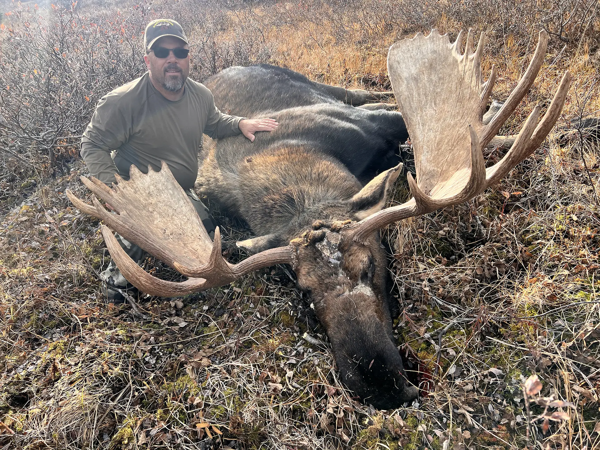 moose-hunt-gallery-new1