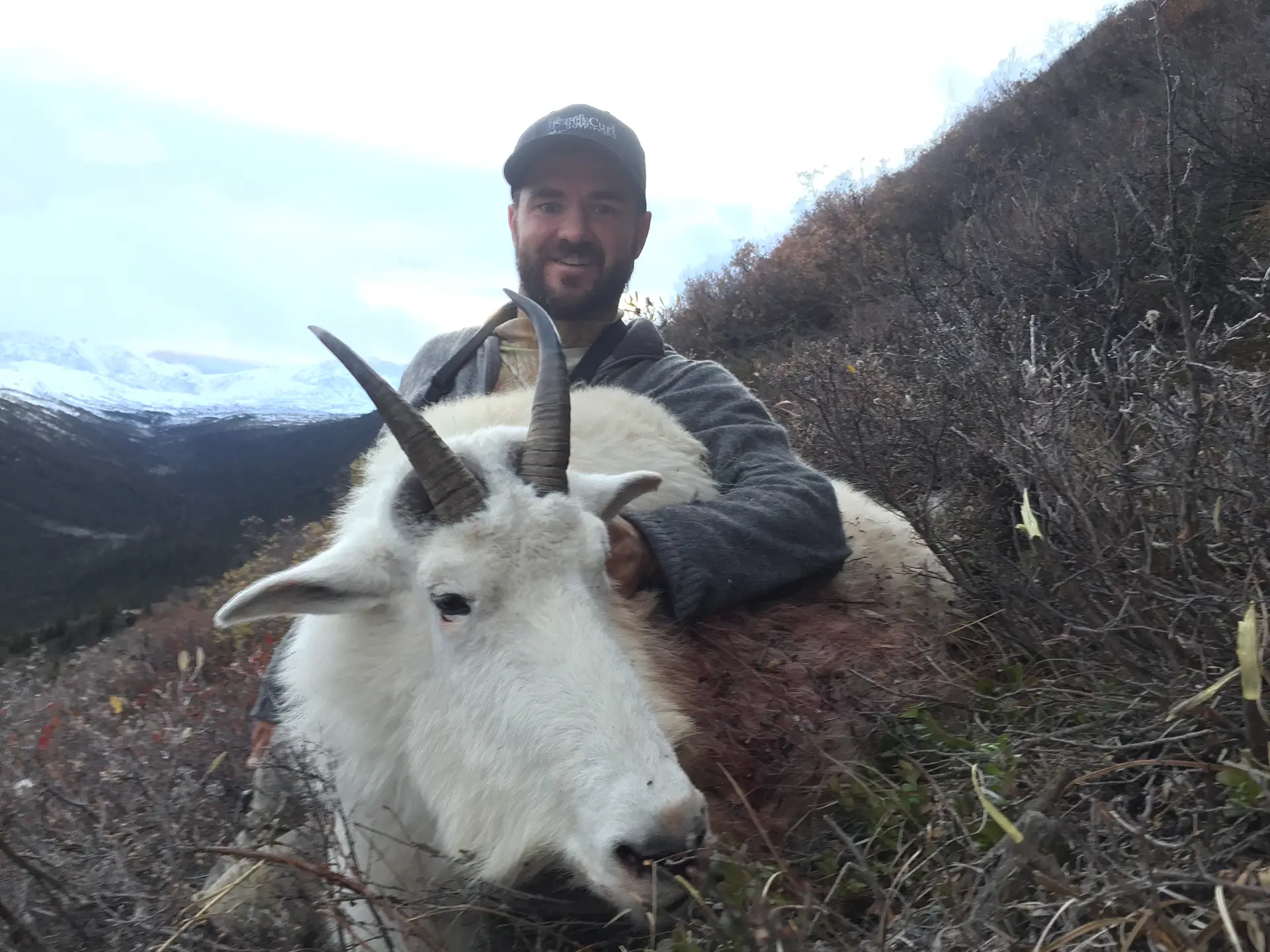 mountain-goat-gallery-new3