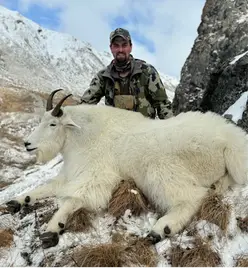 mountain-goat-gallery1