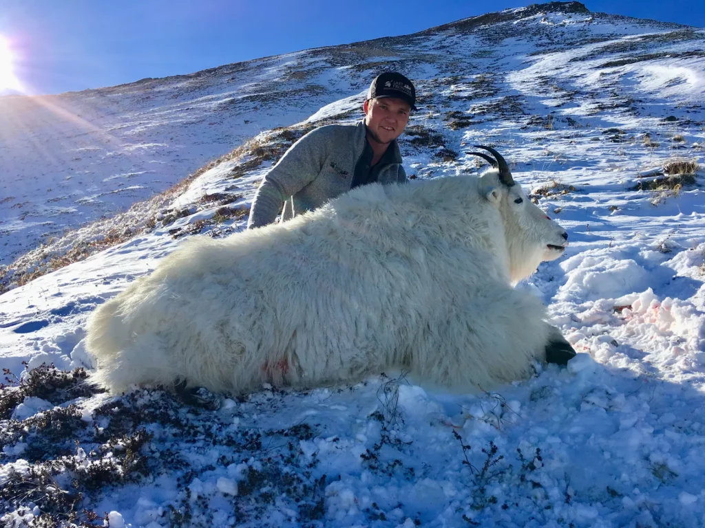 new-mountain-goat-hunts