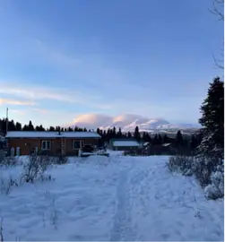 snowy-scenery